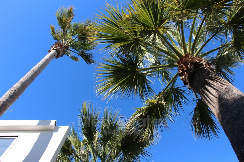 Buying a second home in the South of France during COVID-19