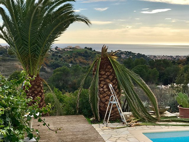 2016; a year filled with falling stars and palmtrees French Riviera