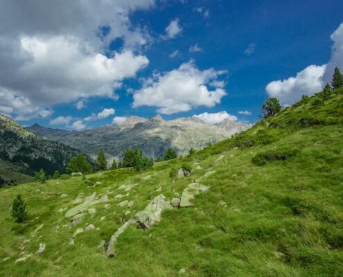 5 Hidden Gems on the French Riviera for Property Investment