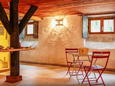 Chateau with a large gite and a pool in Sud Touraine