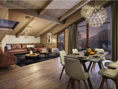 Buy ski chalet French Alps