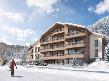 Buy ski chalet French Alps