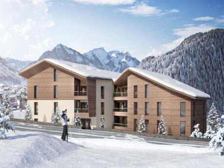 Buy ski chalet French Alps